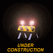 flash.gif (8360 bytes)